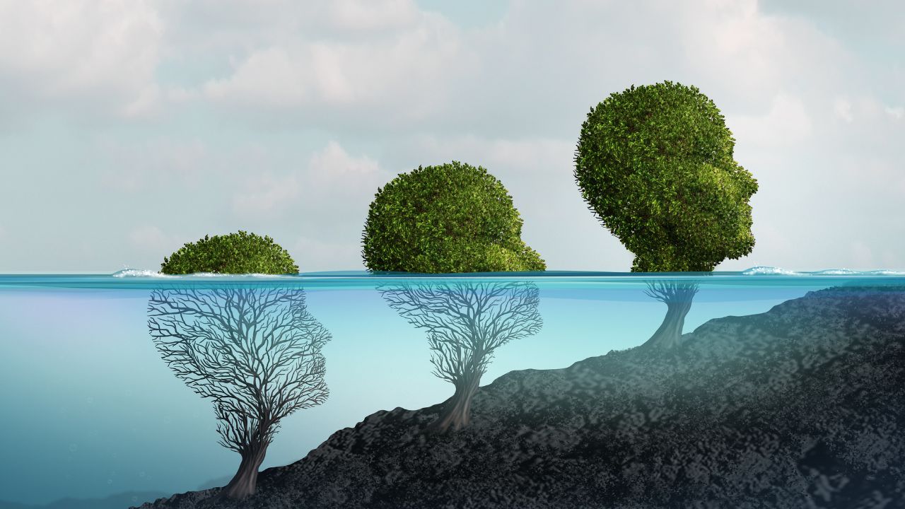 Drei grüne Bäume in Form einen Kopfes, die zum Teil aus dem Wasser ragen.